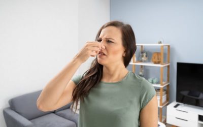 3 Furnace Odors and What They Mean in Zebulon, NC